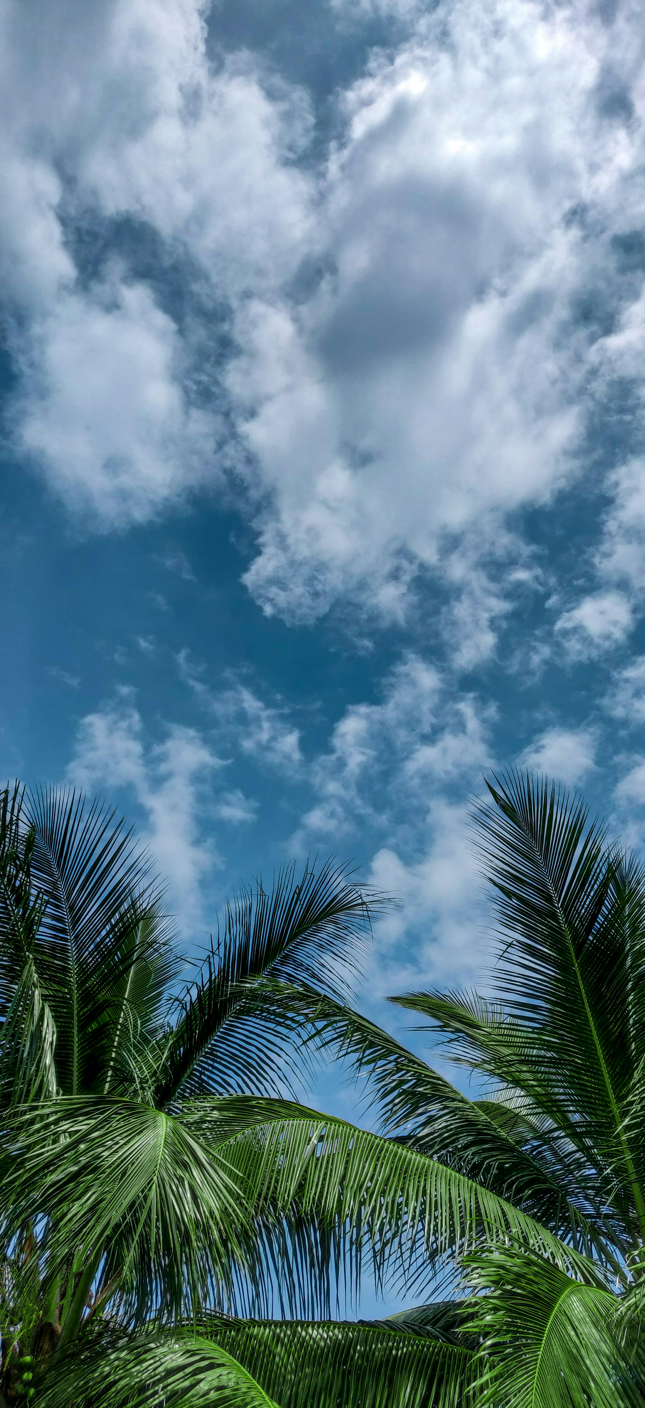 Photo by priteshpatel_19