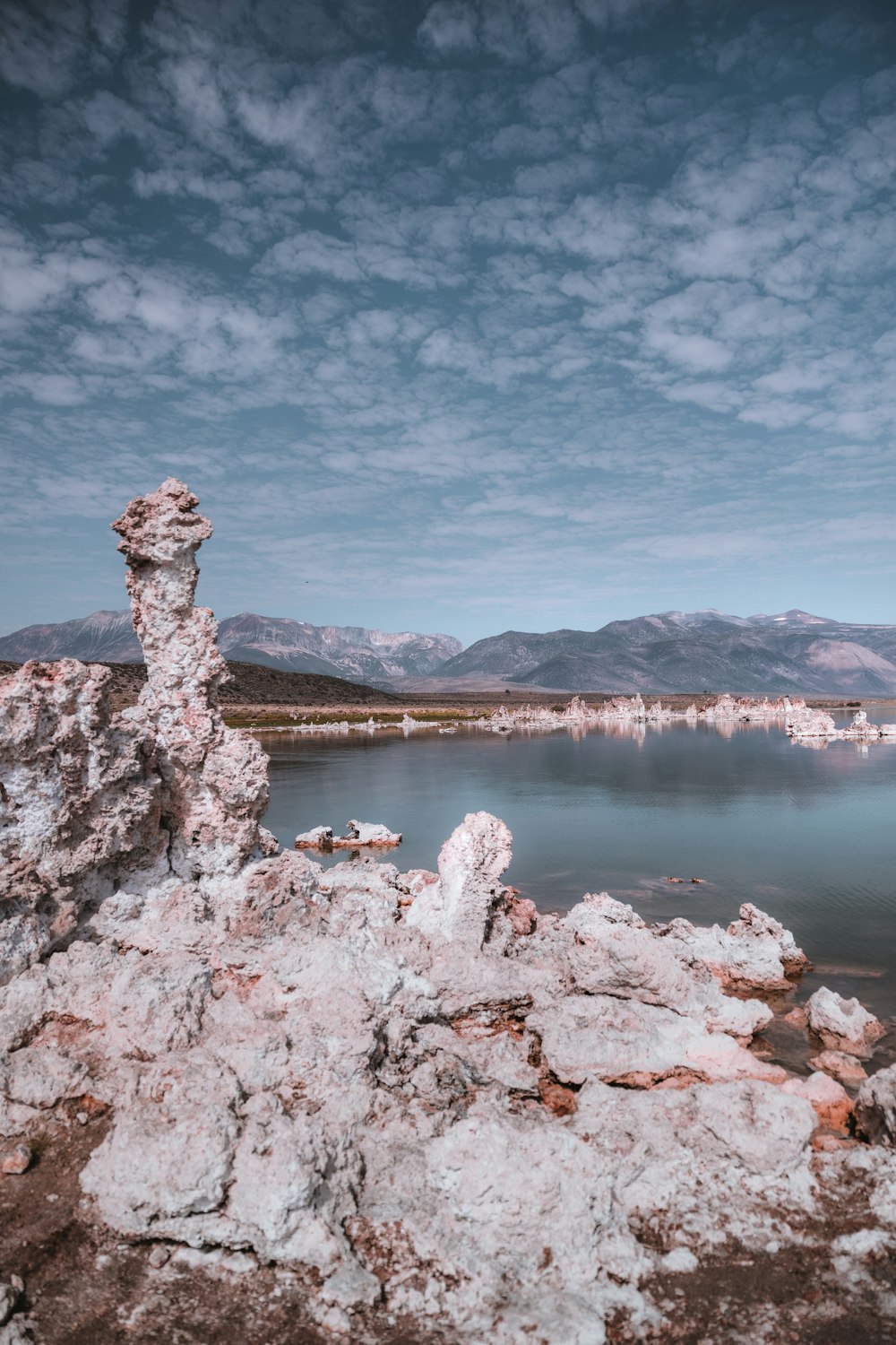 a rocky shore with a body of water in the background