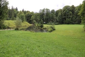 A serene plot of land surrounded by trees.