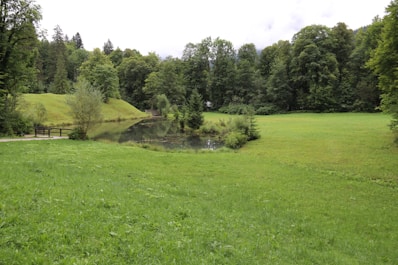 A serene plot of land surrounded by trees.