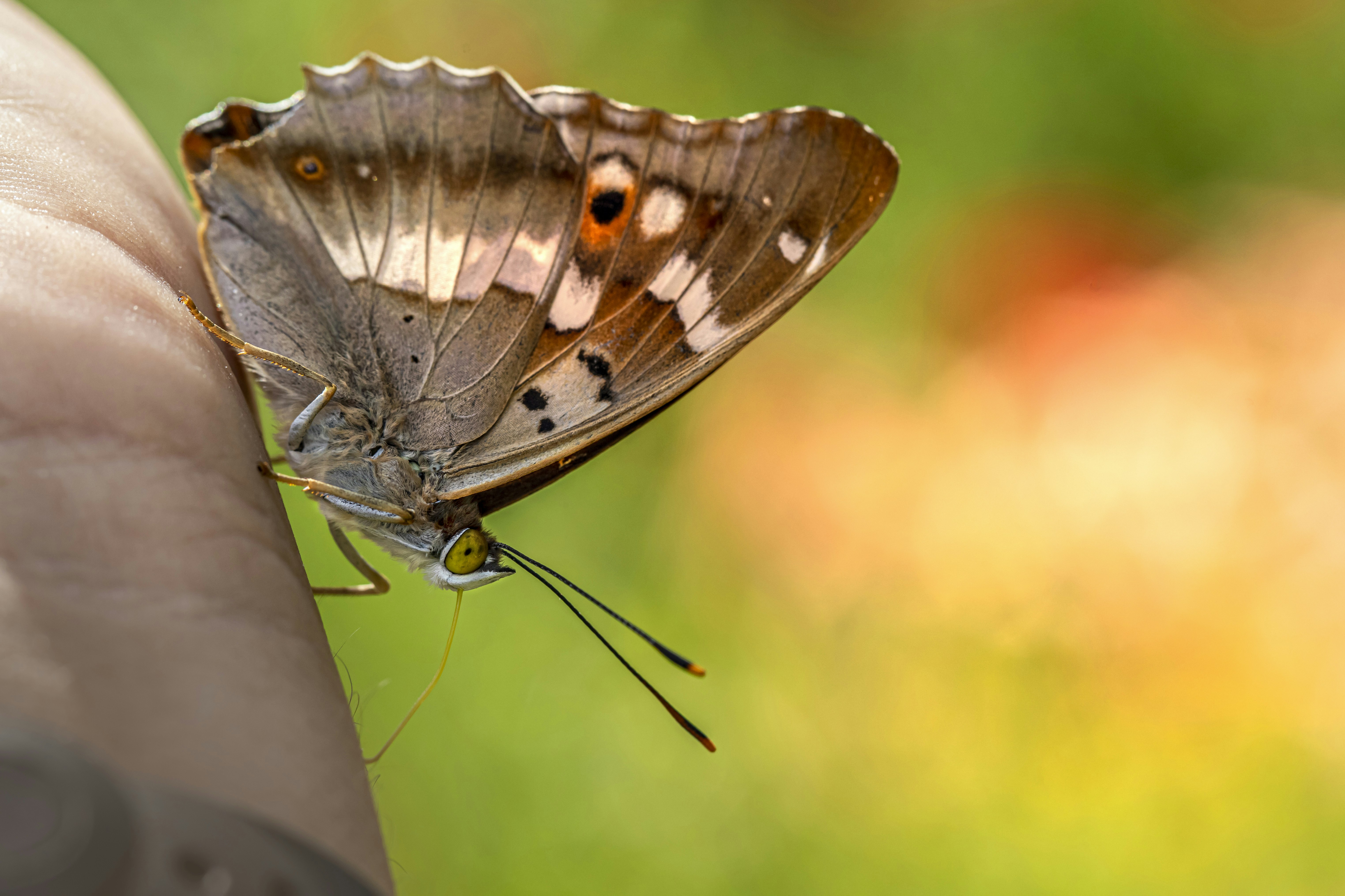 Photo by erik_karits