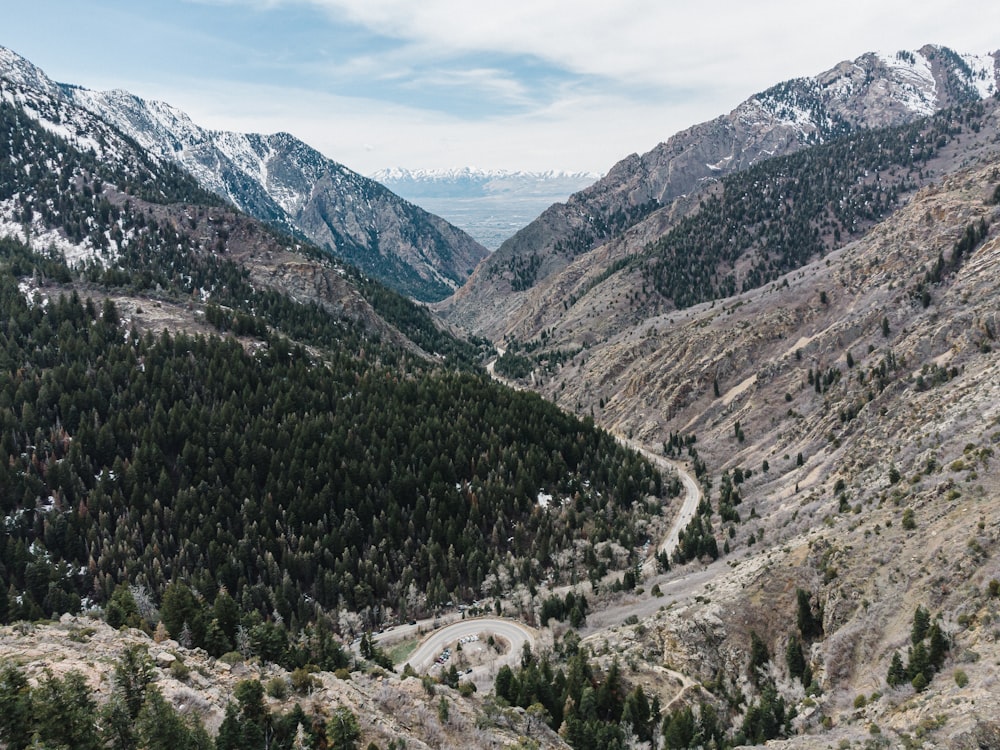 a valley between mountains with trees