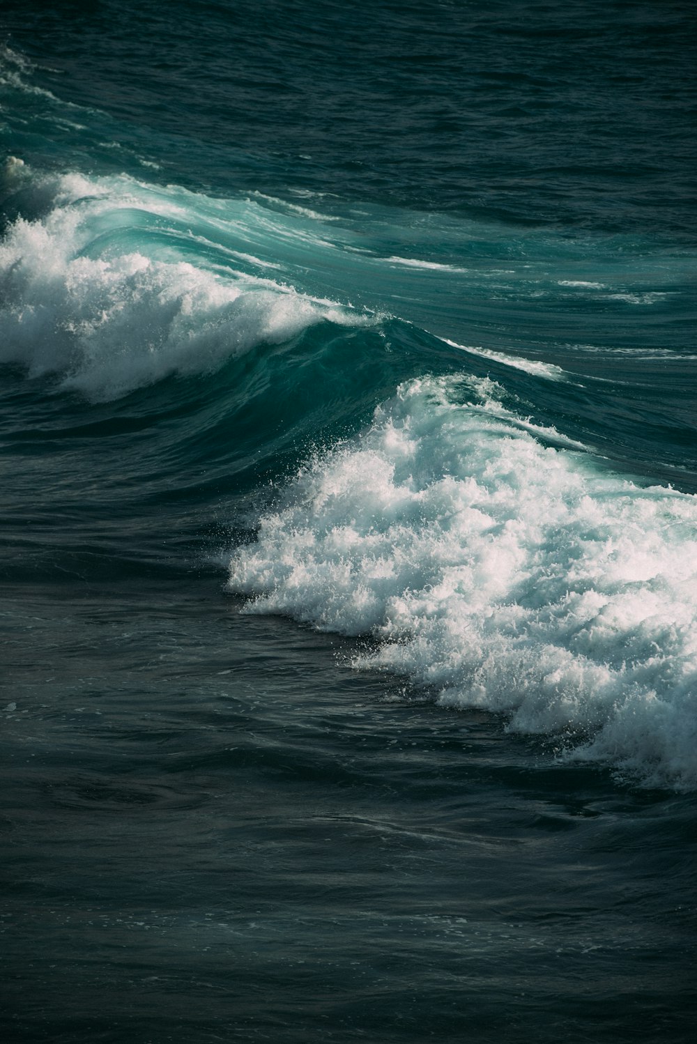 a wave in the ocean