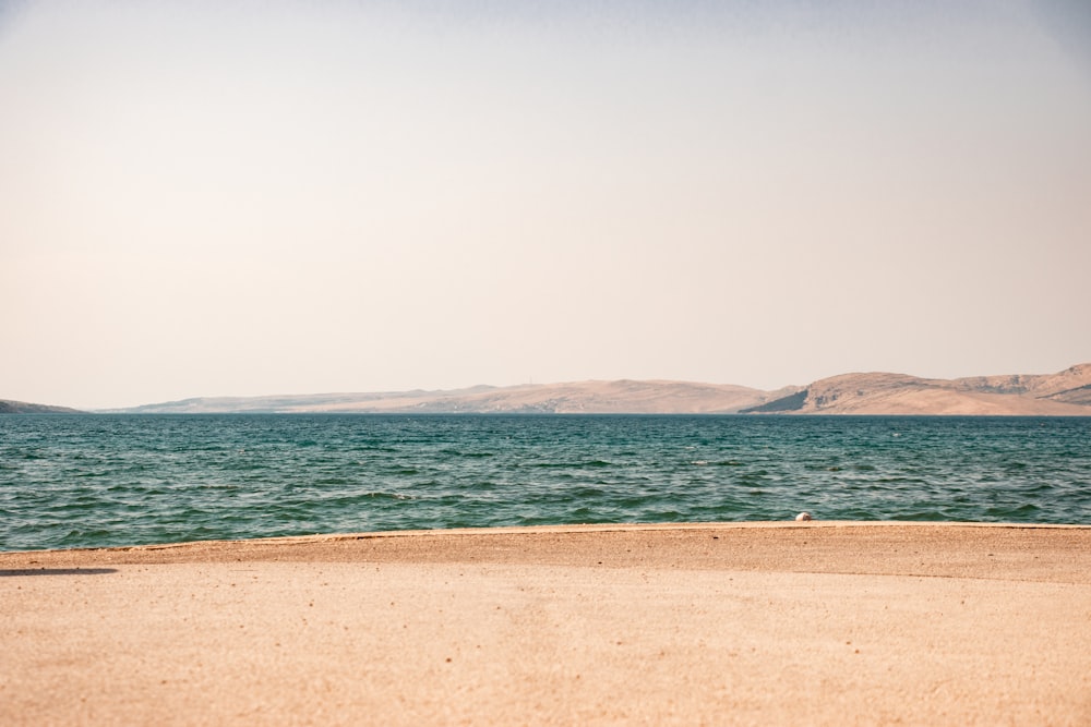 a beach with a body of water