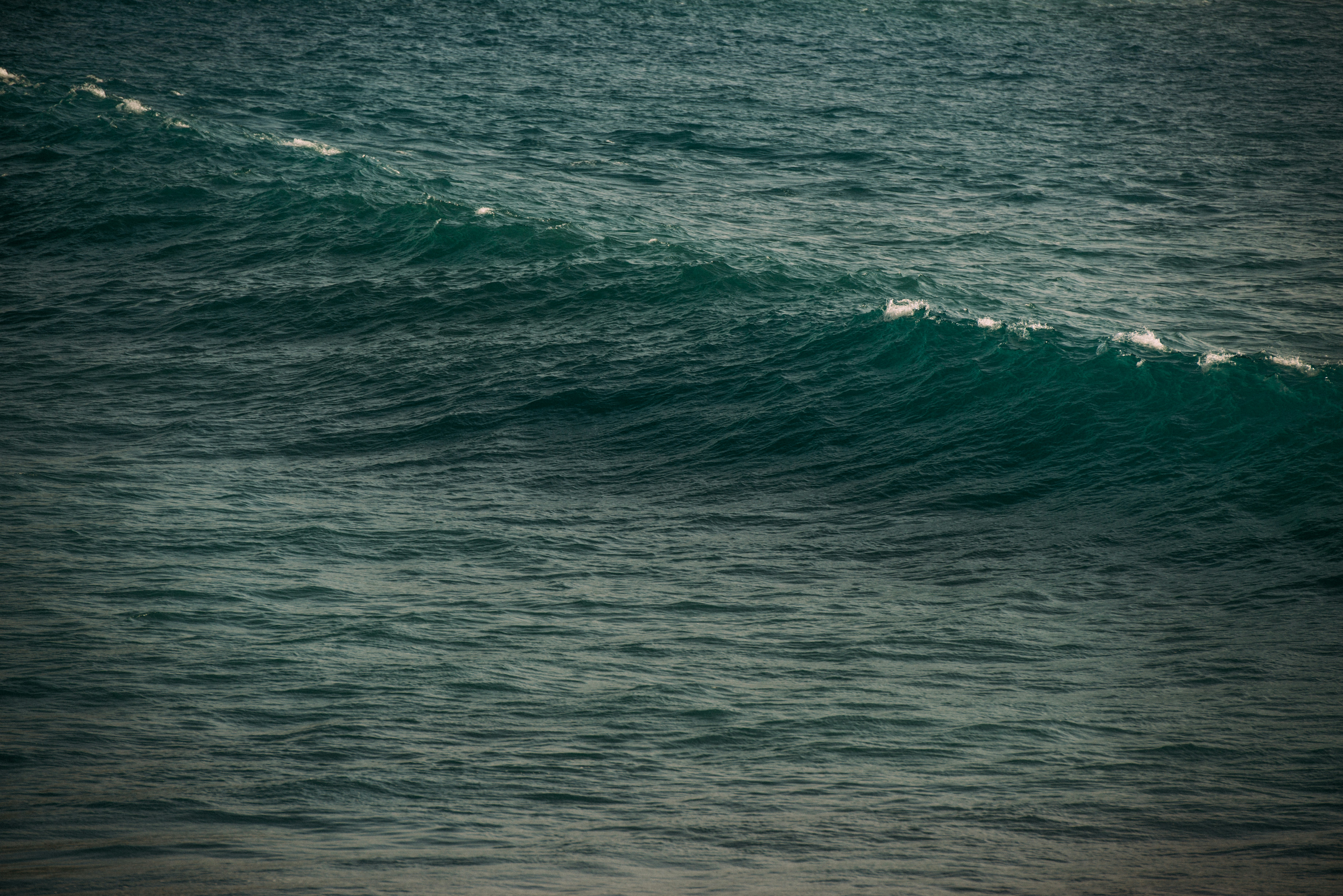 Photo by blakewisz