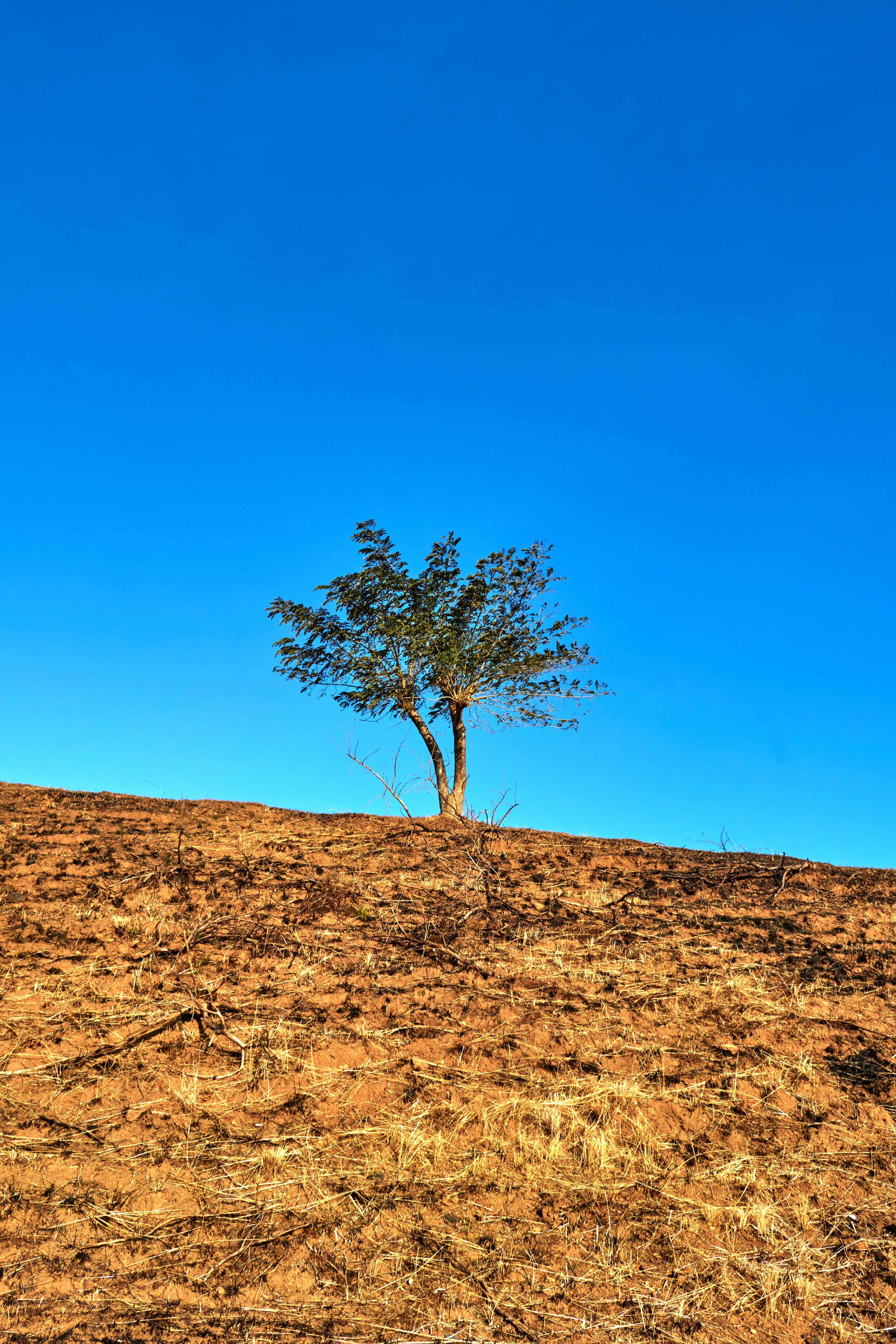 Photo by sphamandlabix