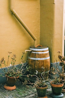 a barrel with plants in it