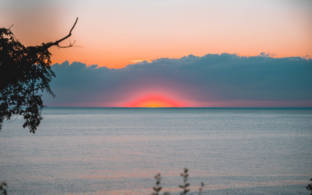 a body of water with a tree and a sunset in the background