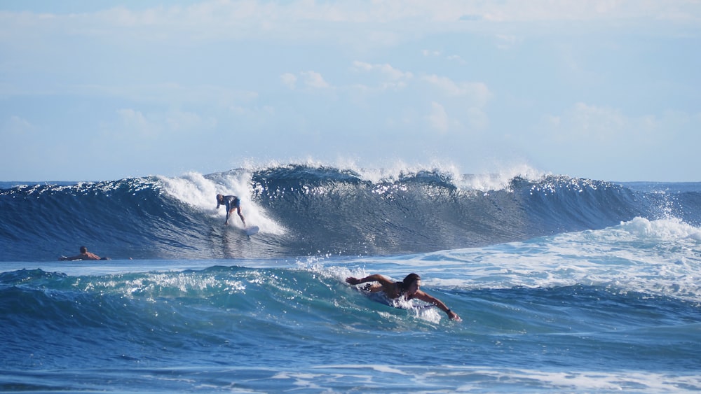 a group of surfers riding a large wave