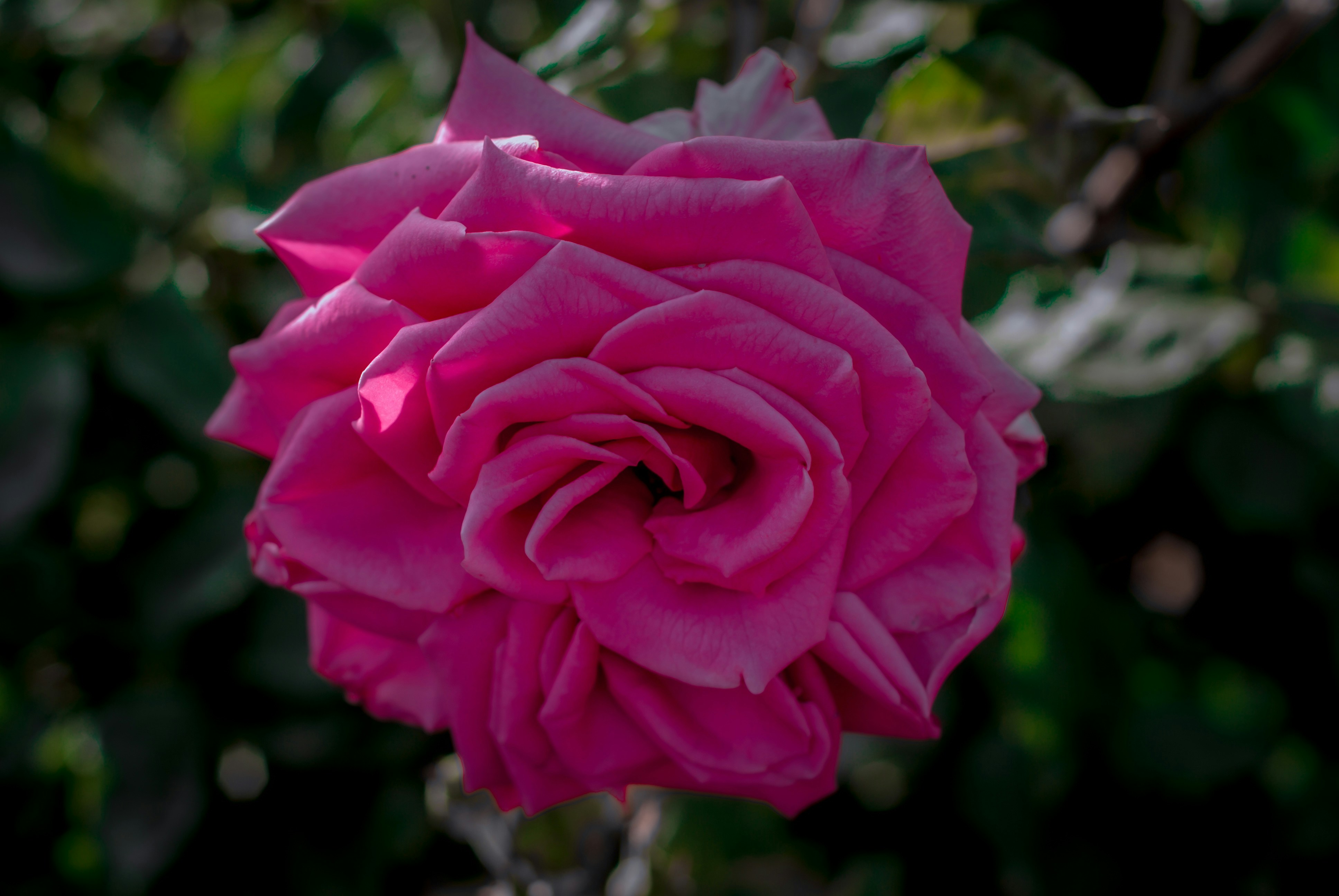 Photo by riitro_graphy