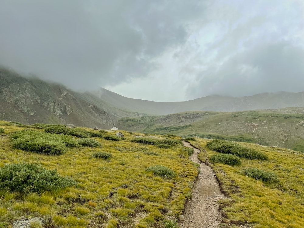 uma estrada de terra em uma área gramada