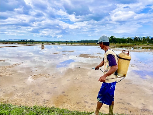 A person is standing on the edge of a flooded field likely engaged in some form of agriculture. They are wearing a hat and carrying a cylindrical container on their back, holding a spray nozzle attached to it. The expansive field reflects the cloudy sky above, creating a serene but industrious scene. In the background, there are trees and a distant mountain range.