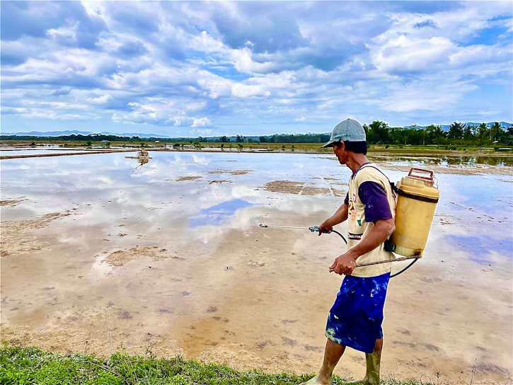 A person is standing on the edge of a flooded field likely engaged in some form of agriculture. They are wearing a hat and carrying a cylindrical container on their back, holding a spray nozzle attached to it. The expansive field reflects the cloudy sky above, creating a serene but industrious scene. In the background, there are trees and a distant mountain range.