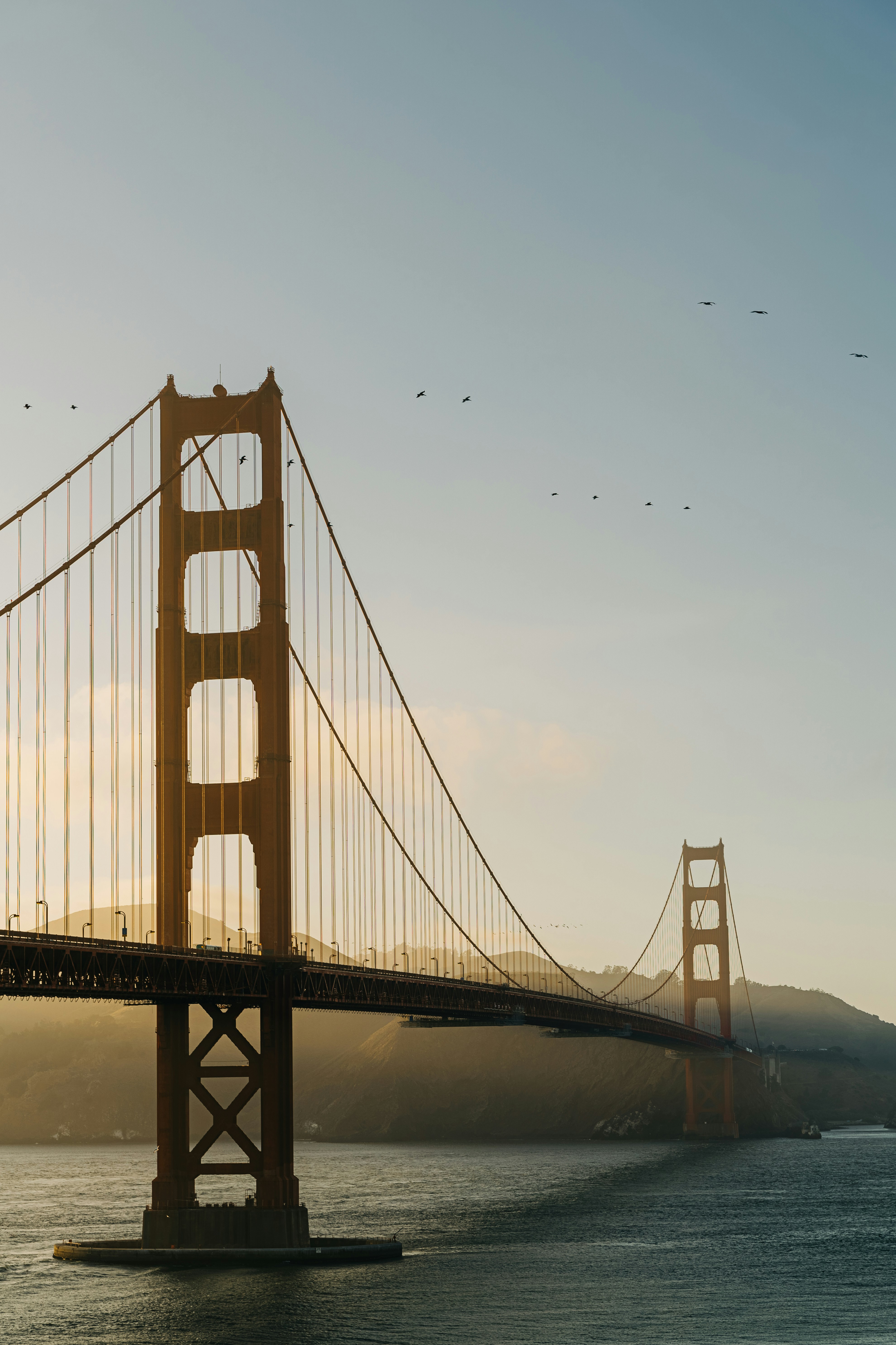 Photo by chrismcintosh