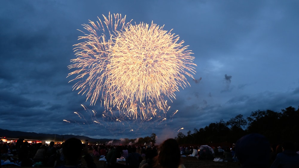 a group of people watching fireworks