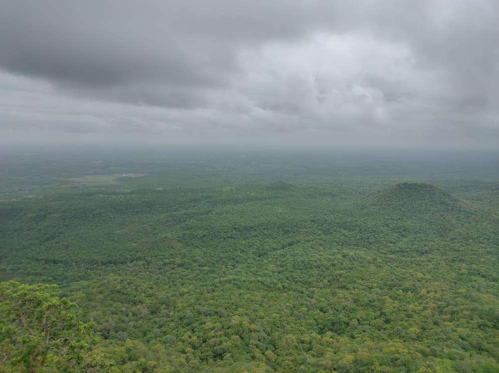 Eine Landschaft mit Bäumen und Wolken