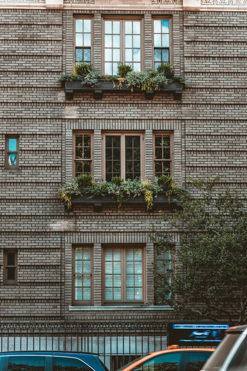 a building with plants growing on the windows