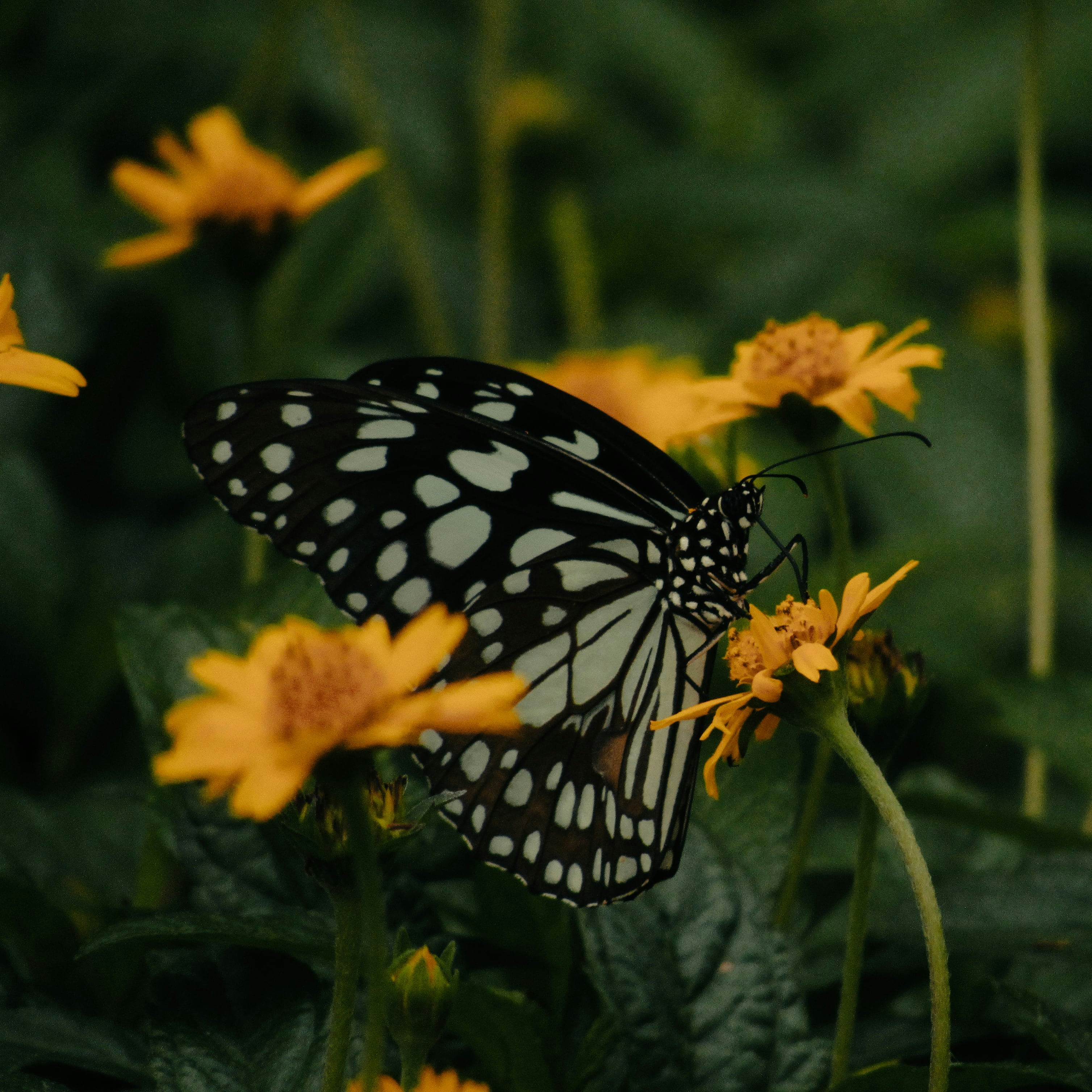 Photo by pranav1124