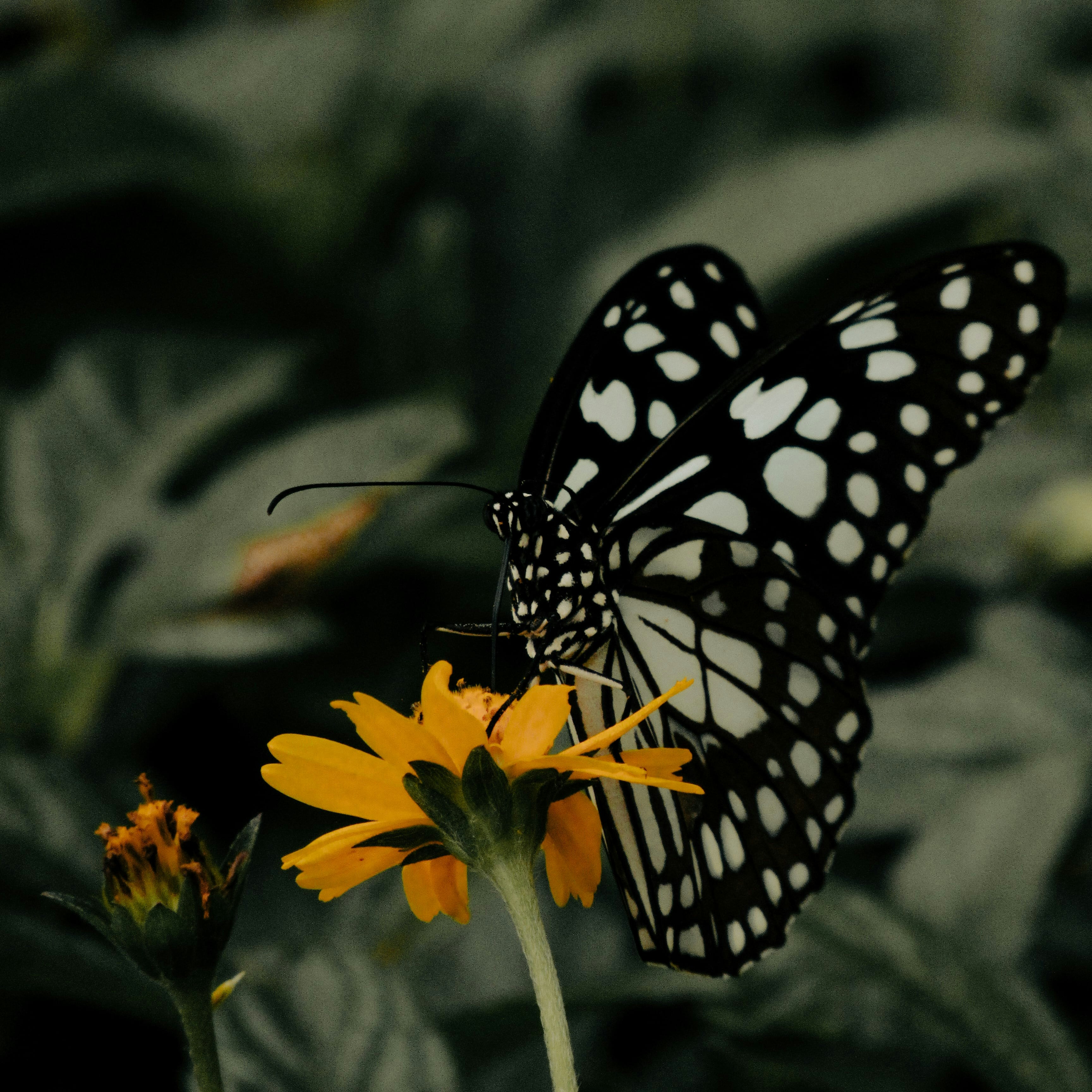 Photo by pranav1124
