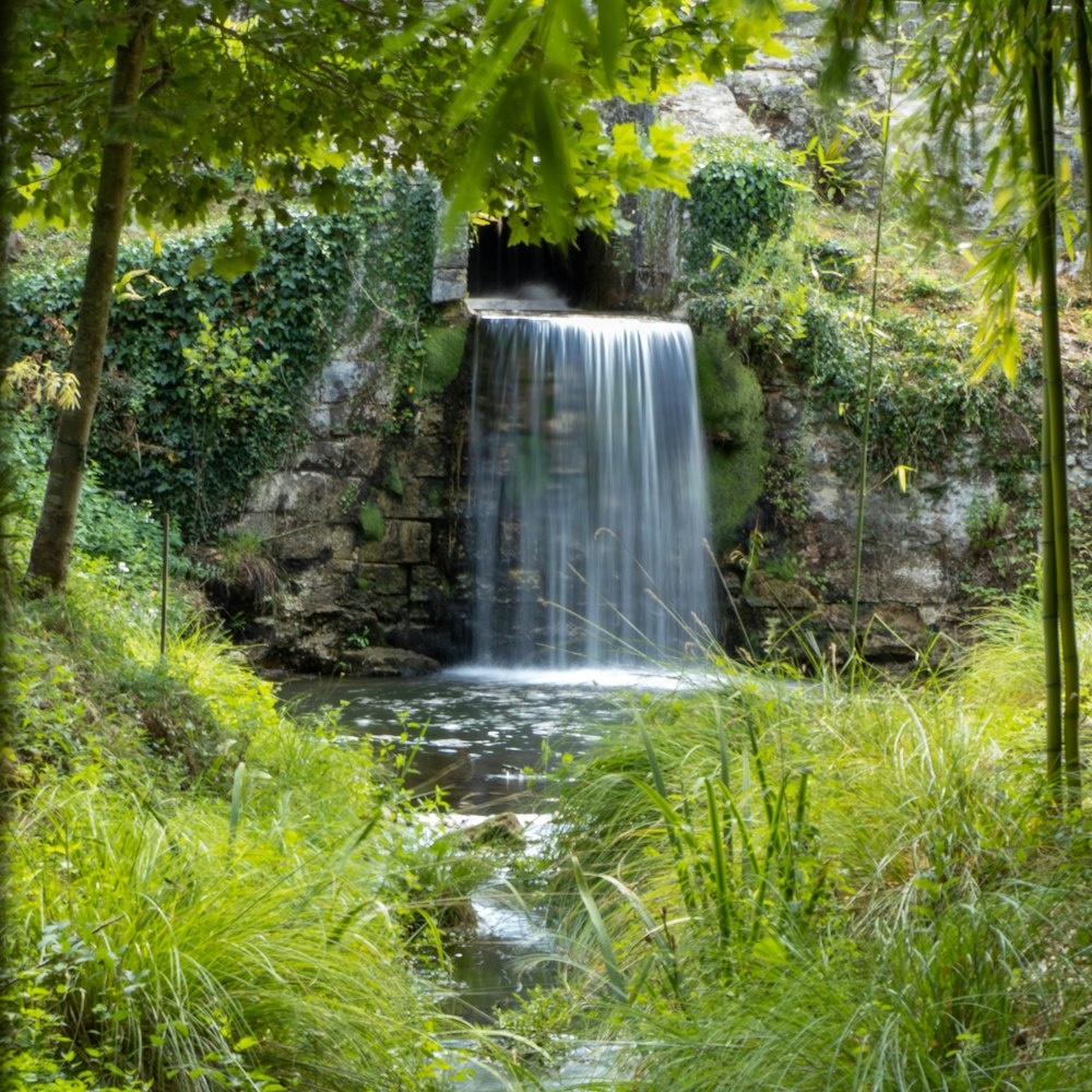 a waterfall in a forest