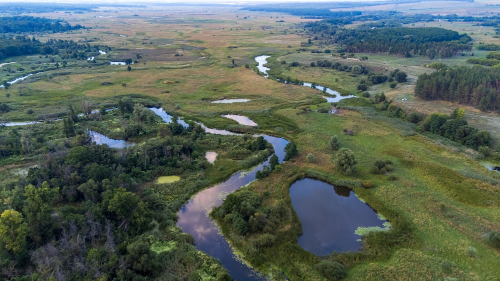 a river running through a green landscape