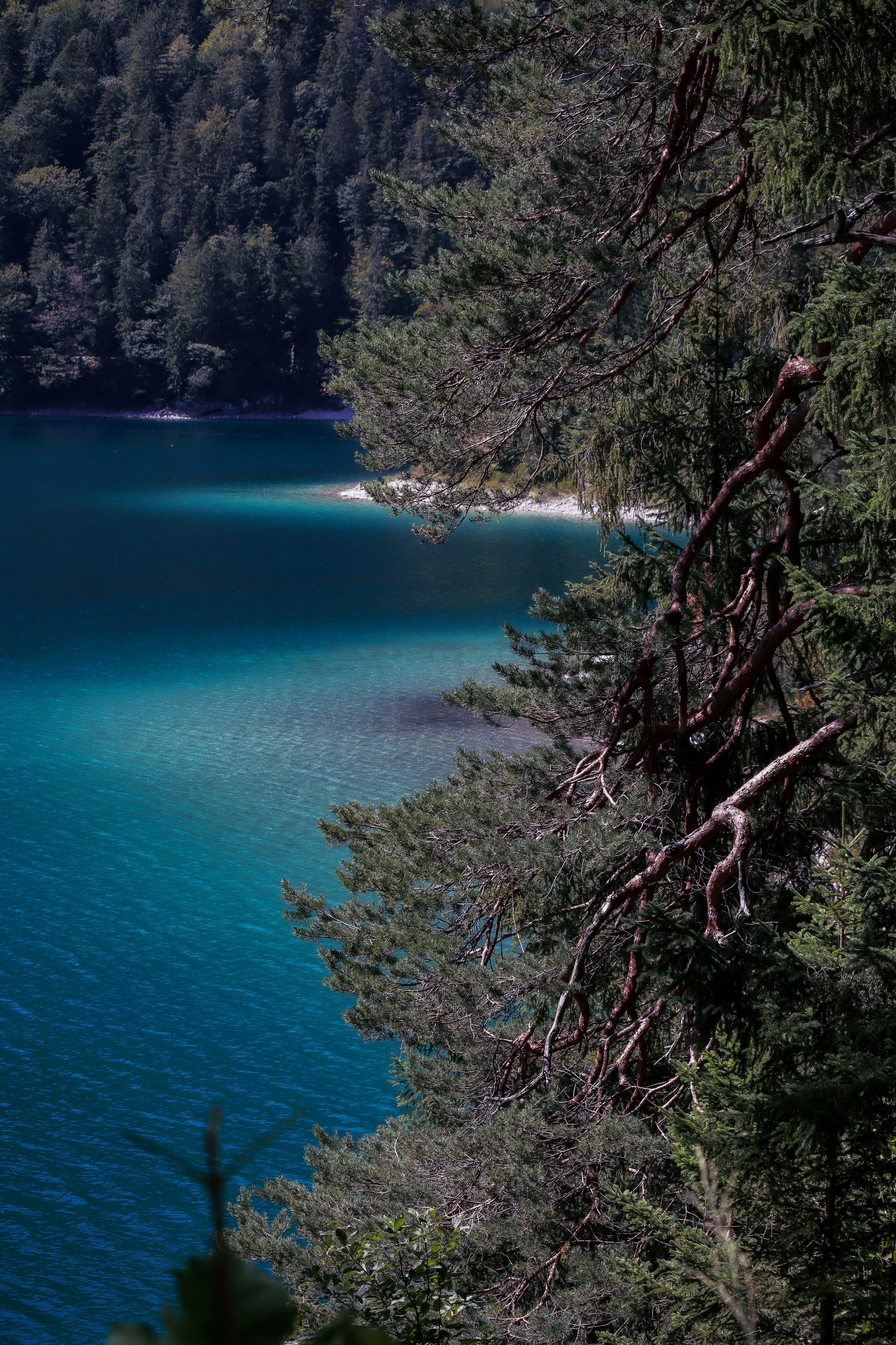 Photo by santosh_ghimire2021