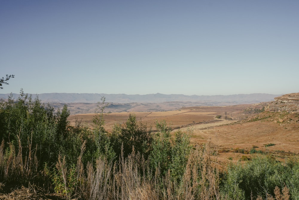 a landscape with trees and hills