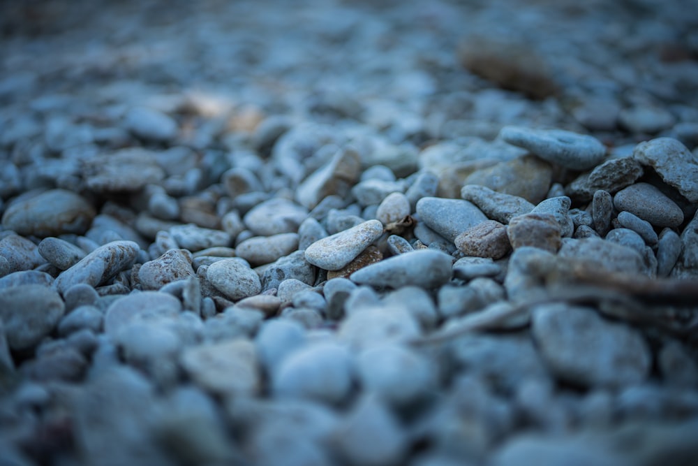 a close-up of some rocks