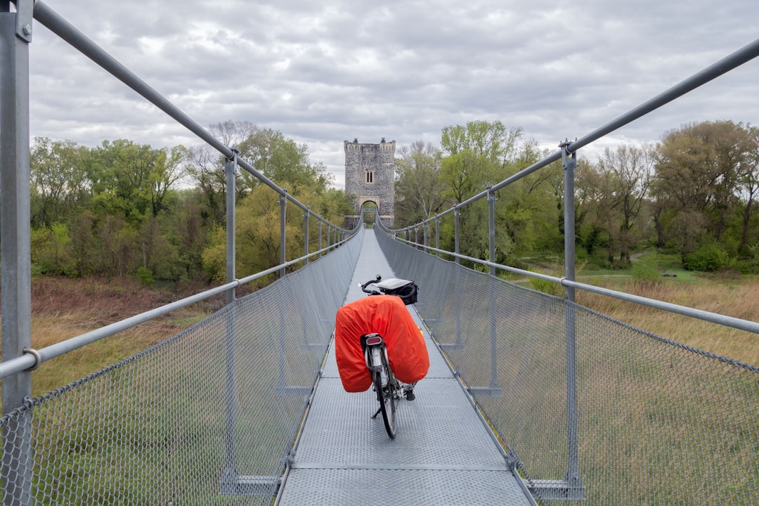 a person riding a bike on a bridge,
