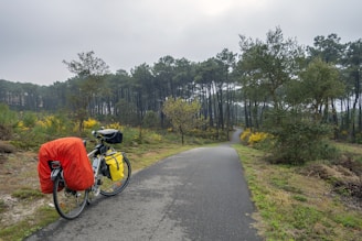 A bicycle loaded with travel gear is parked beside a paved path winding through a dense forest. The bike has a red cover on the rear, with yellow and black bags attached. Tall pine trees dominate the background, and patches of yellow flowers and greenery grow along the path under an overcast sky.