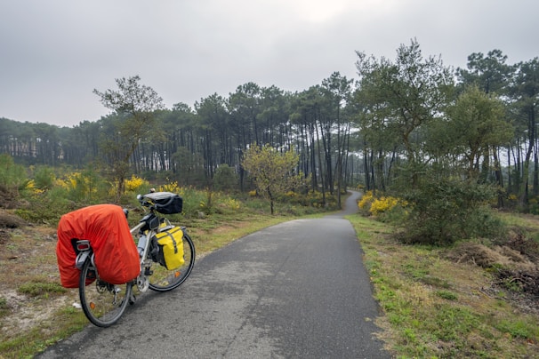 A bicycle loaded with travel gear is parked beside a paved path winding through a dense forest. The bike has a red cover on the rear, with yellow and black bags attached. Tall pine trees dominate the background, and patches of yellow flowers and greenery grow along the path under an overcast sky.