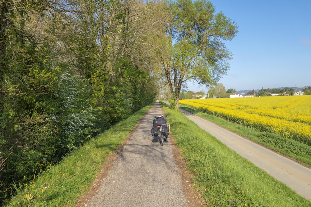 a person riding a motorcycle on a dirt road surrounded by yellow flowers