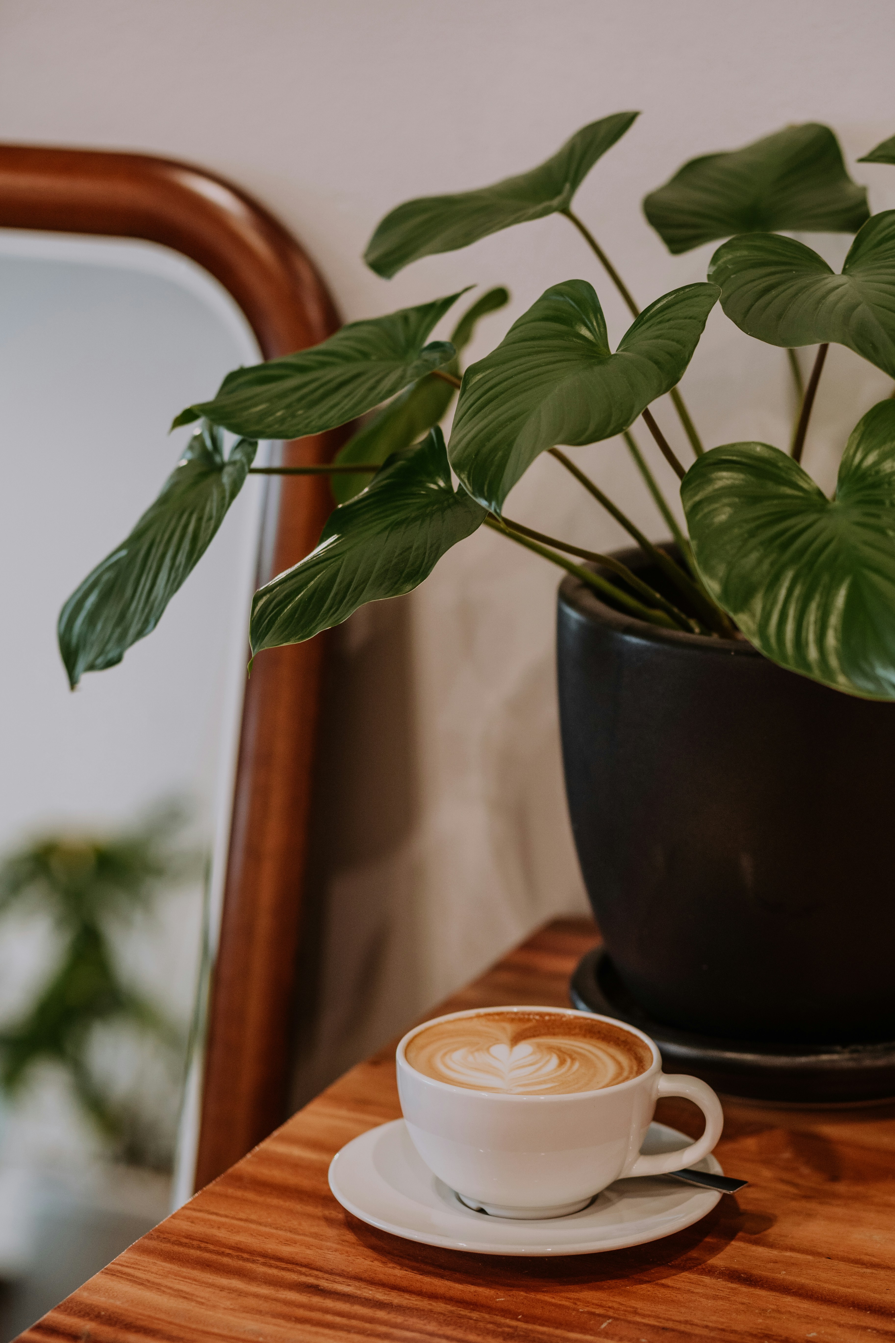 Photo by waytocoffee