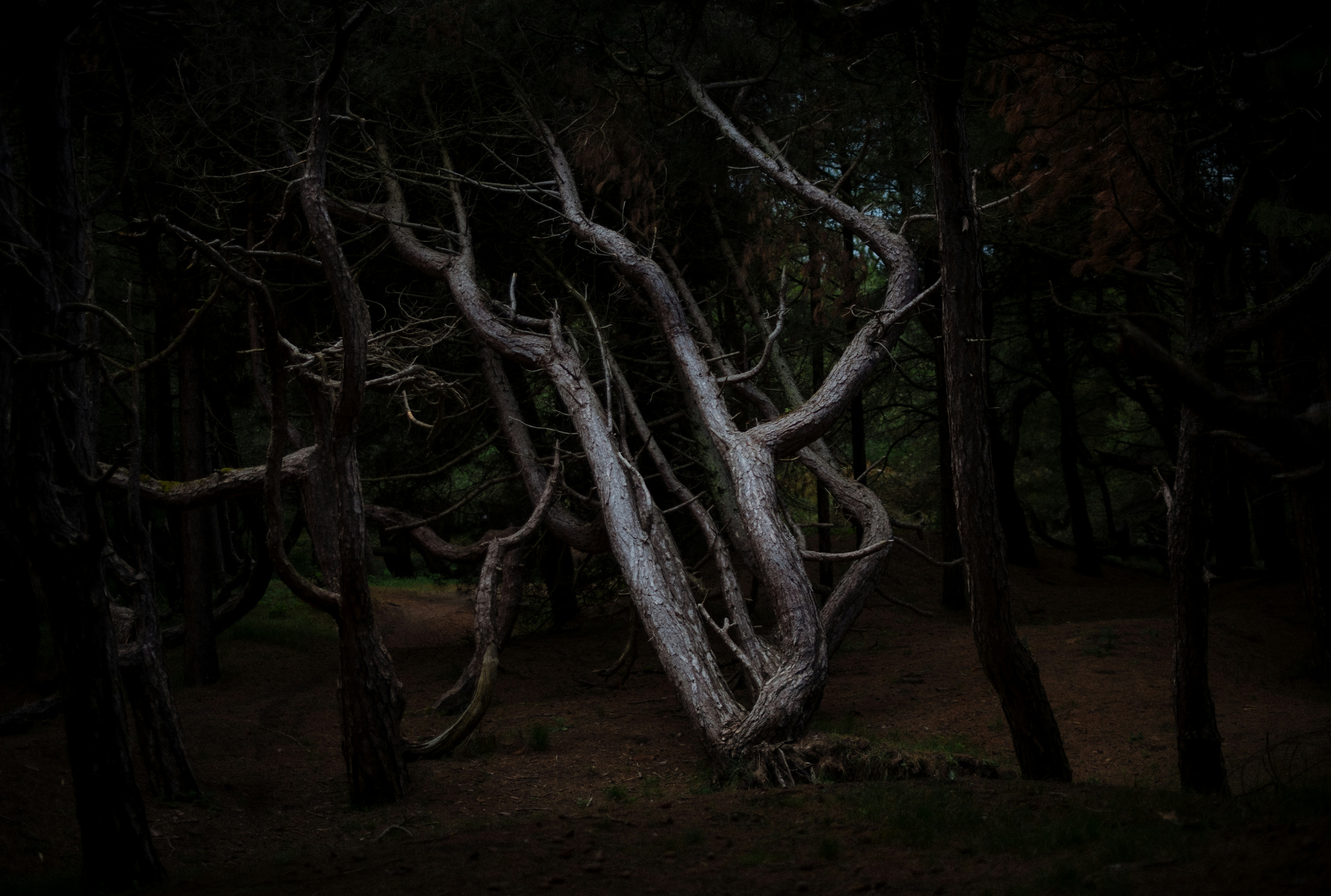 Photo by mitchorr