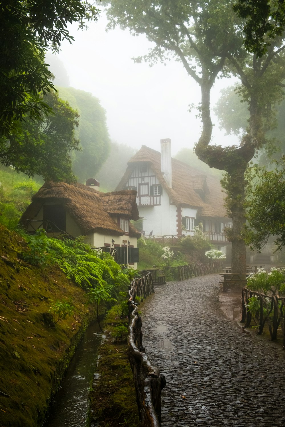 a river running through a town