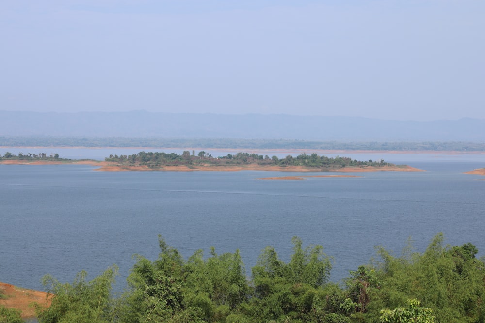 a body of water with trees around it