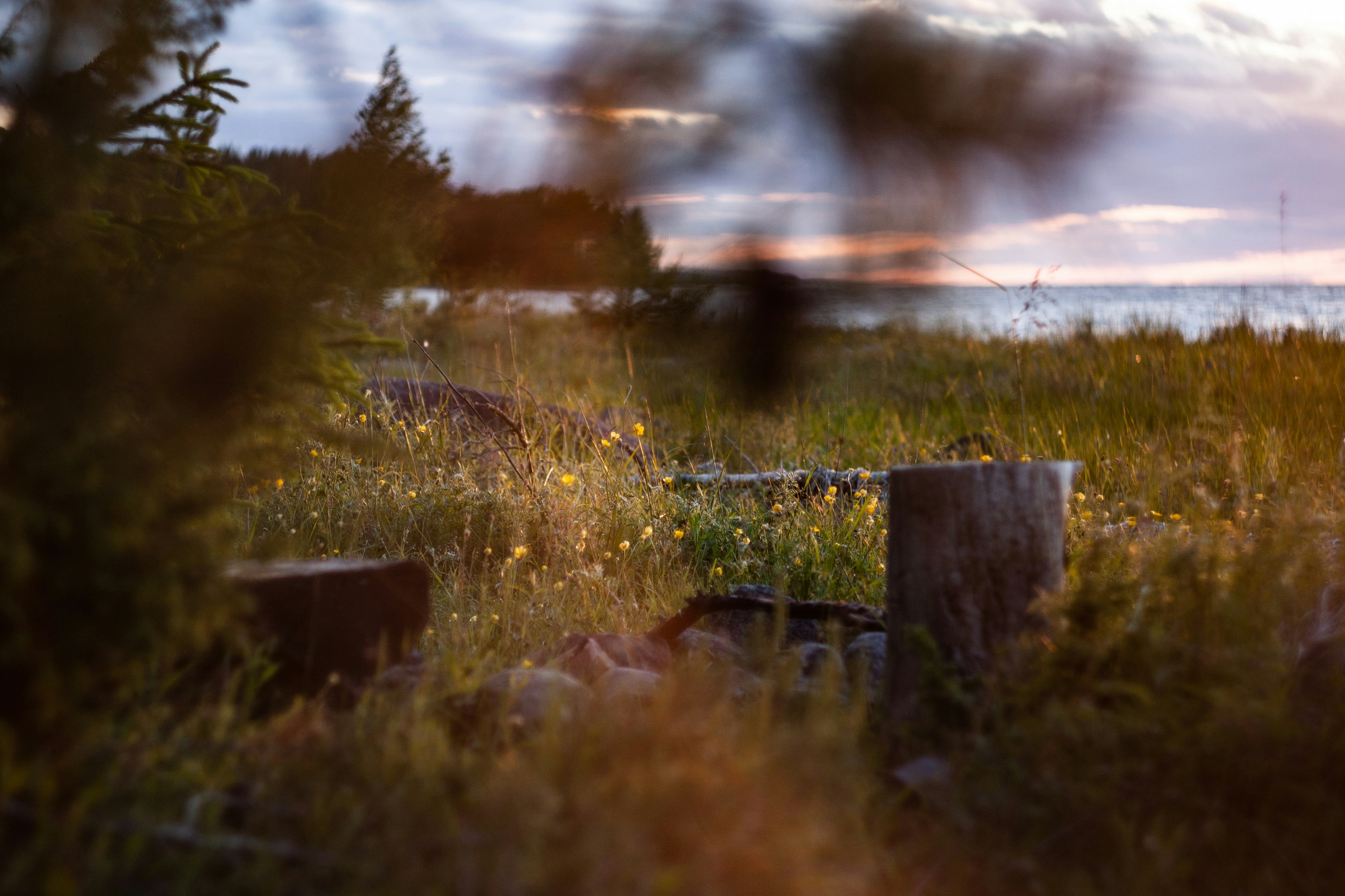 Un incendio en un campo