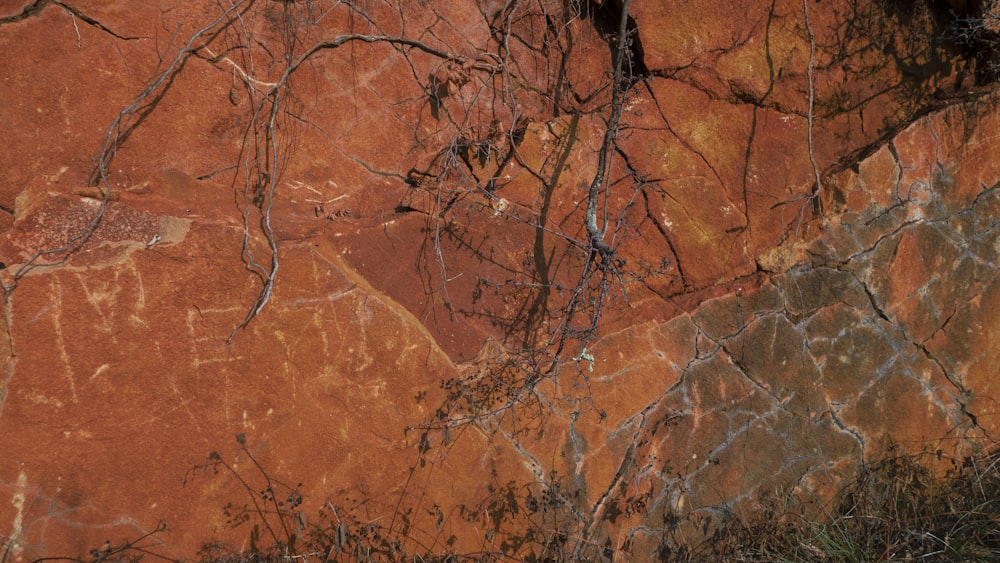 a red rock cliff