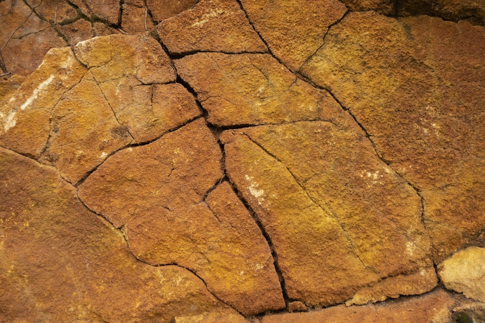 a close-up of a rock