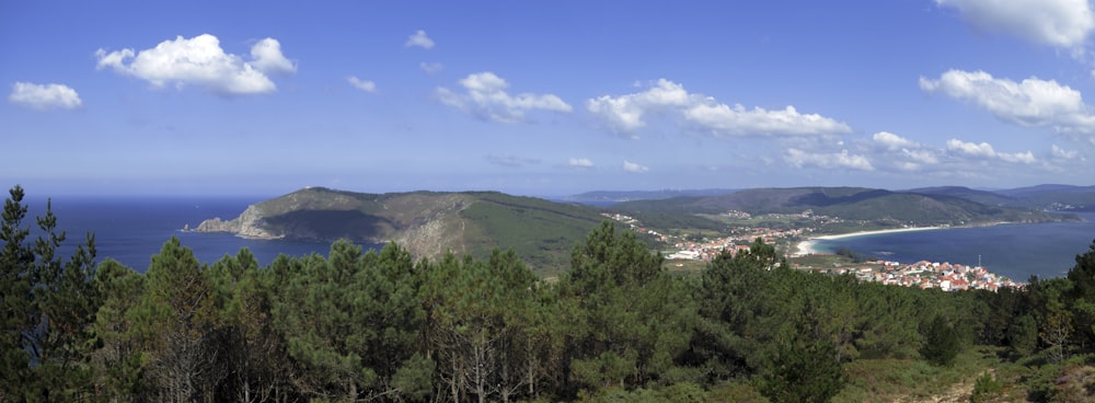 a landscape with trees and a body of water in the background