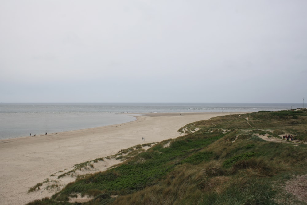 a beach with grass and water