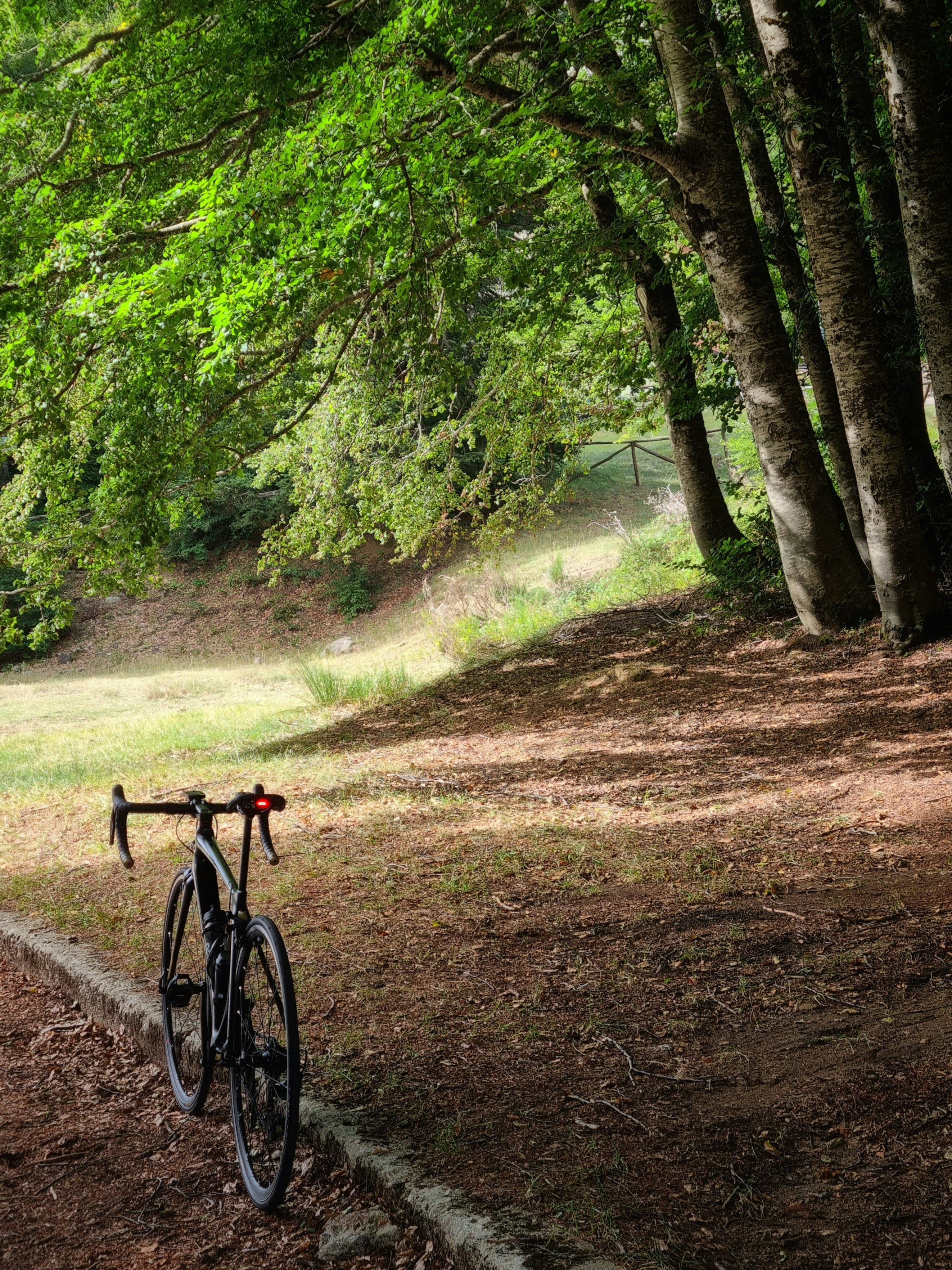 a bicycle parked on a dirt path in the woods