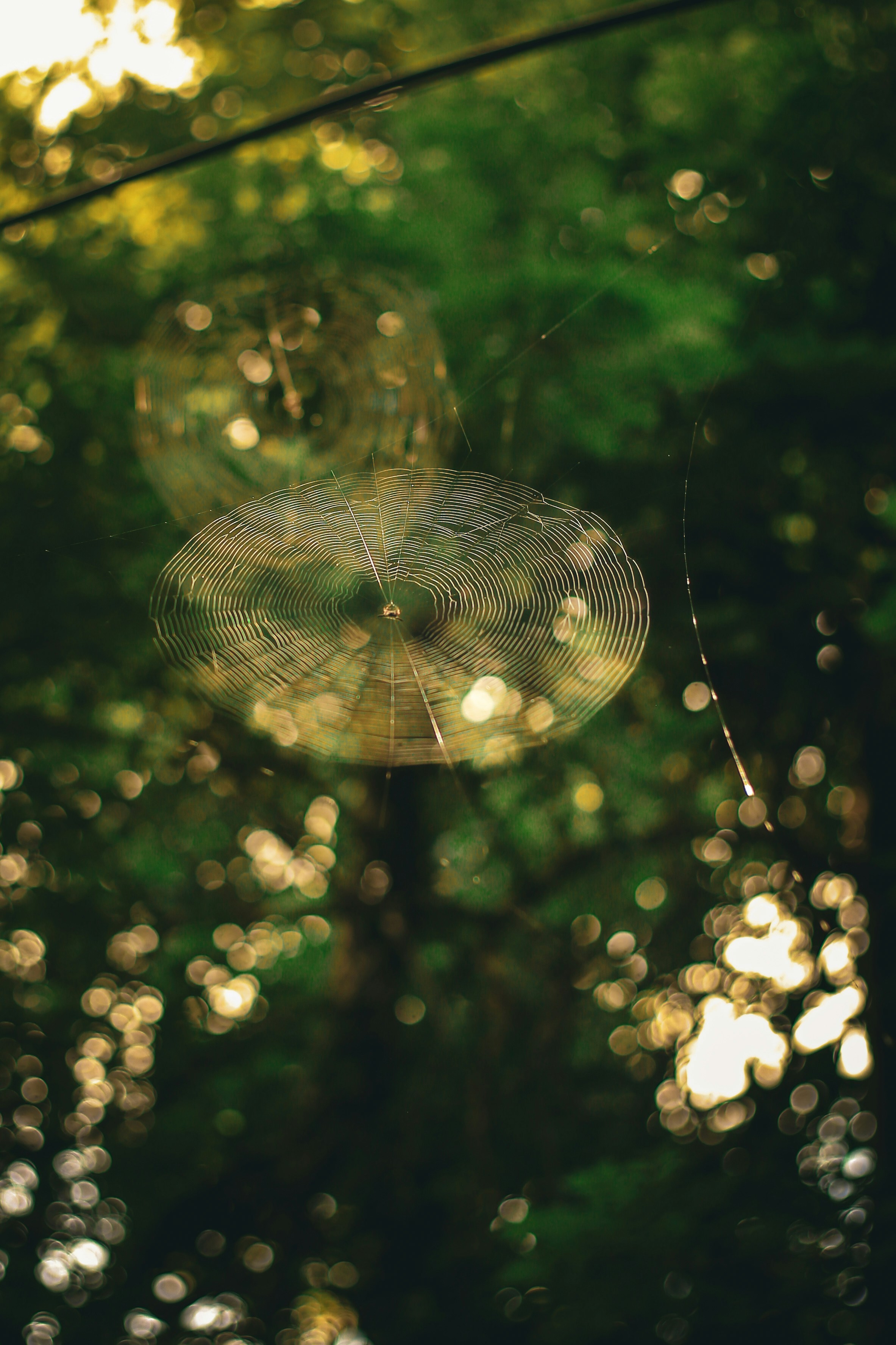 Photo by arununnikrishnan