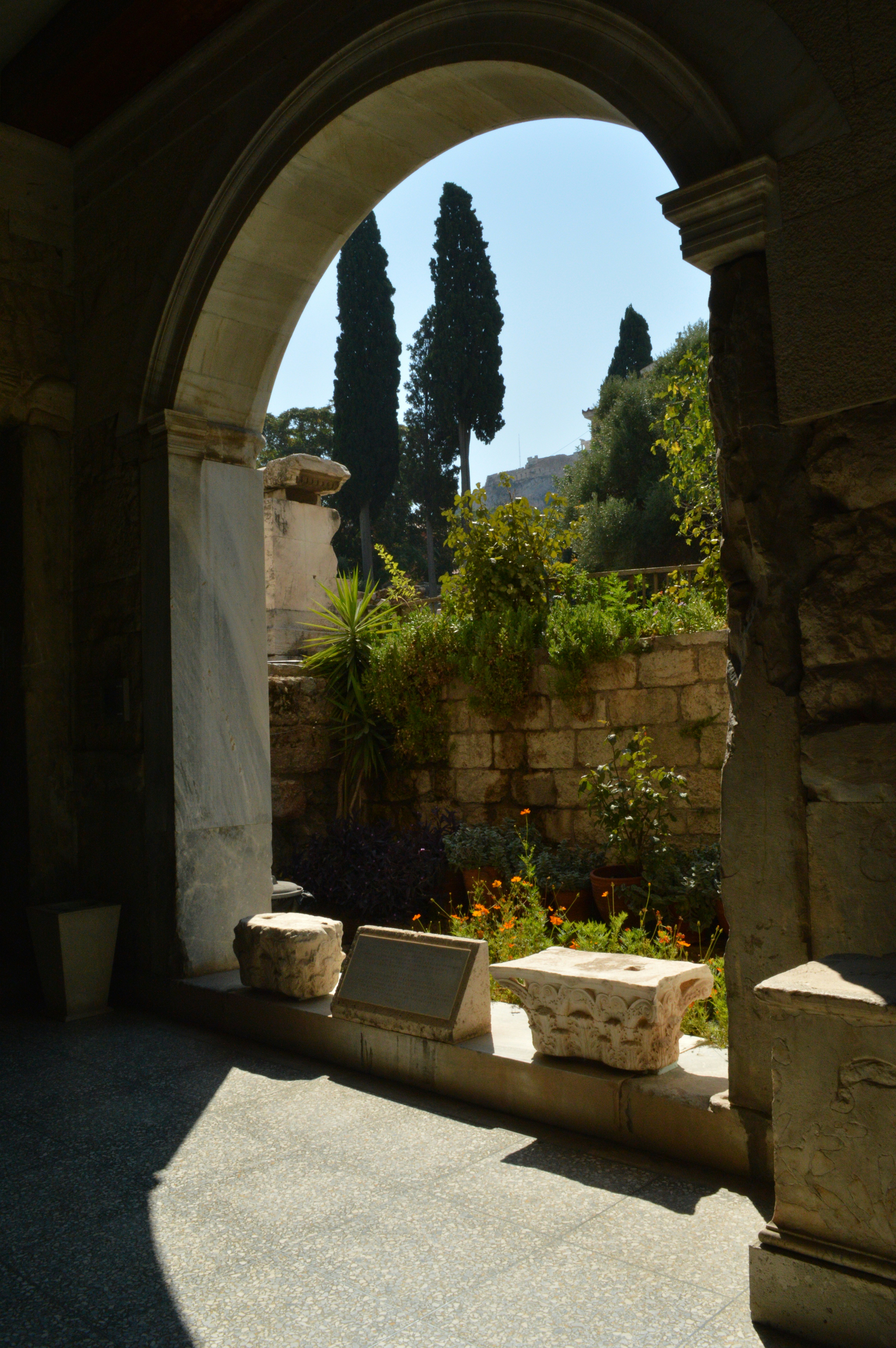 Photo by homyasusina