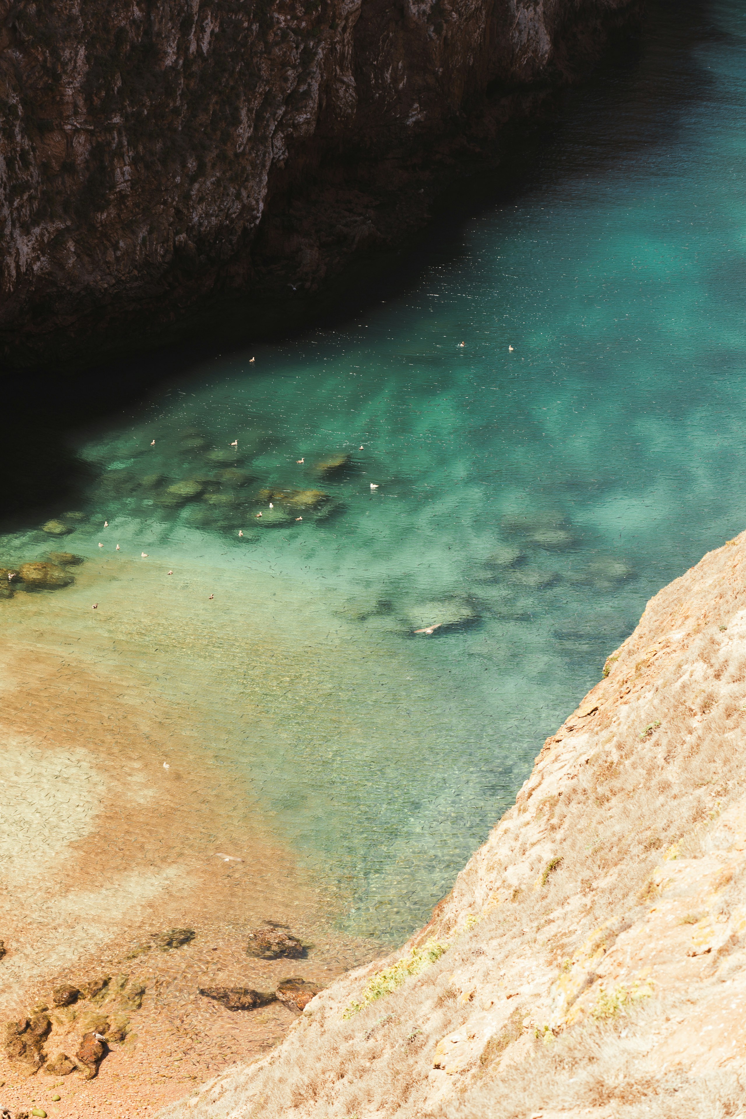 Photo by miguelmendes