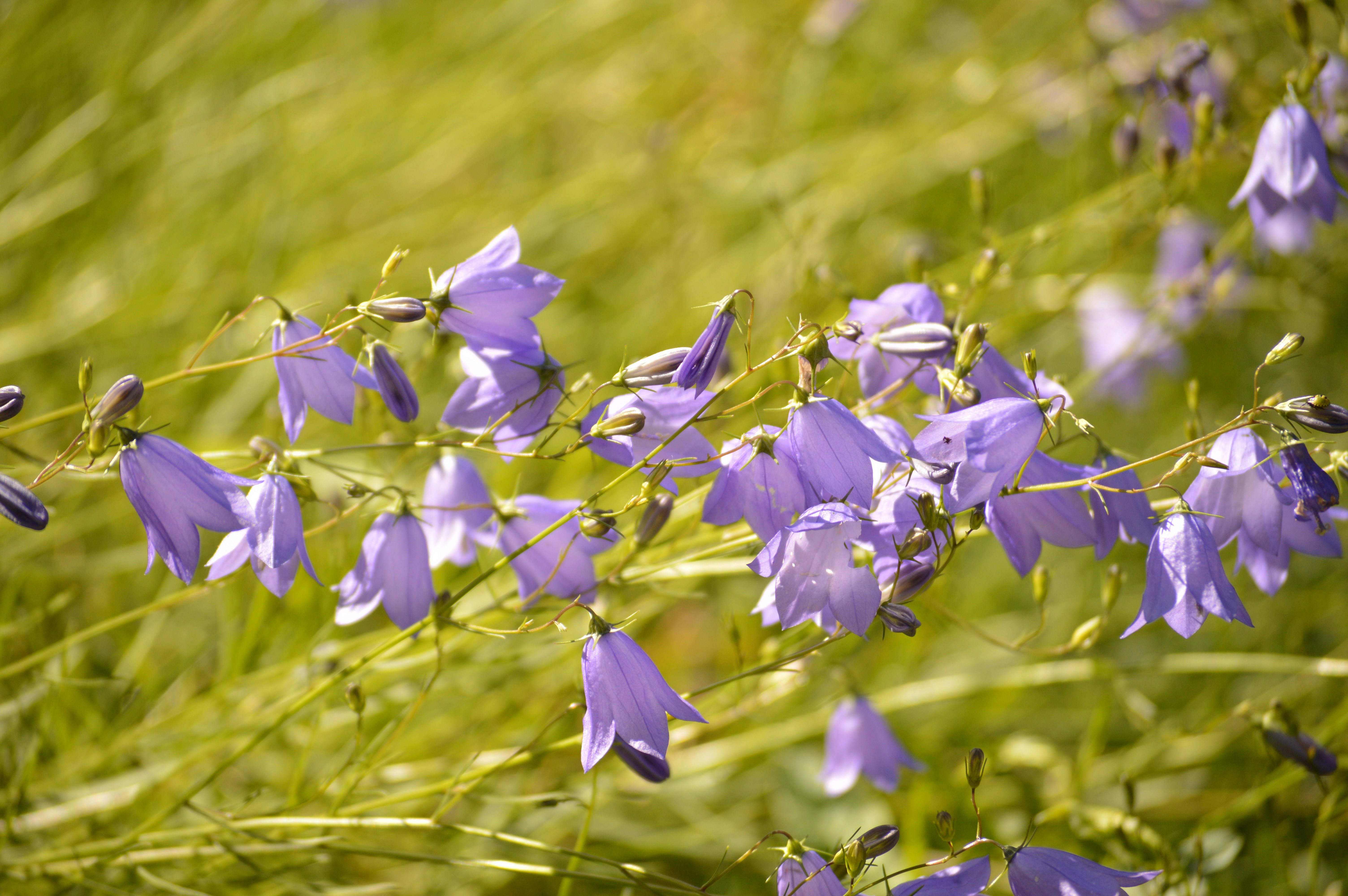 Photo by homyasusina