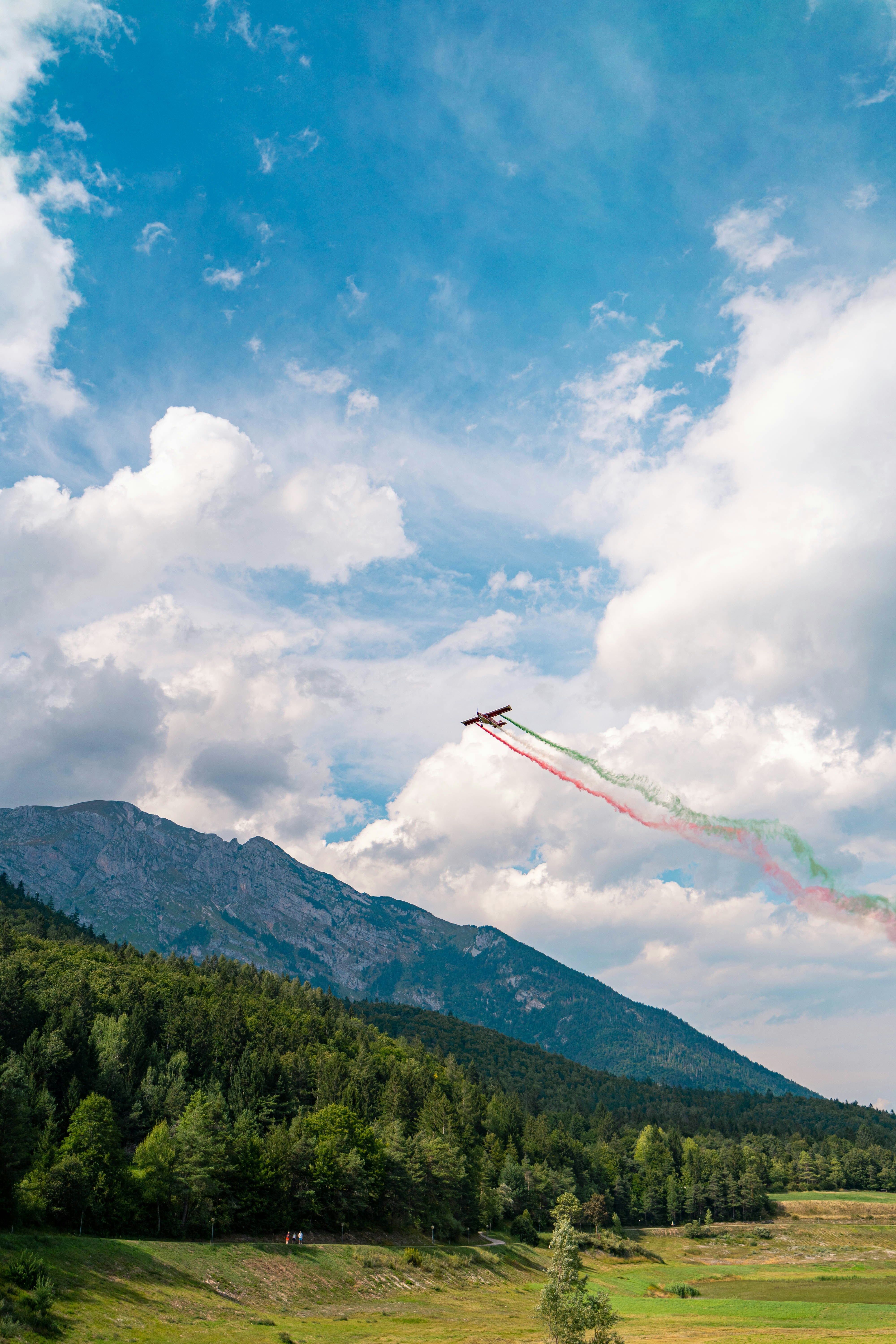 a kite flying over a forest