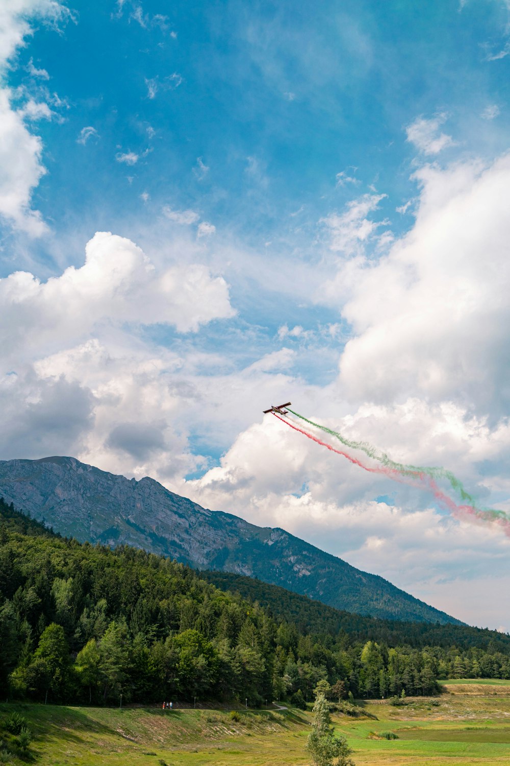 a kite flying over a forest