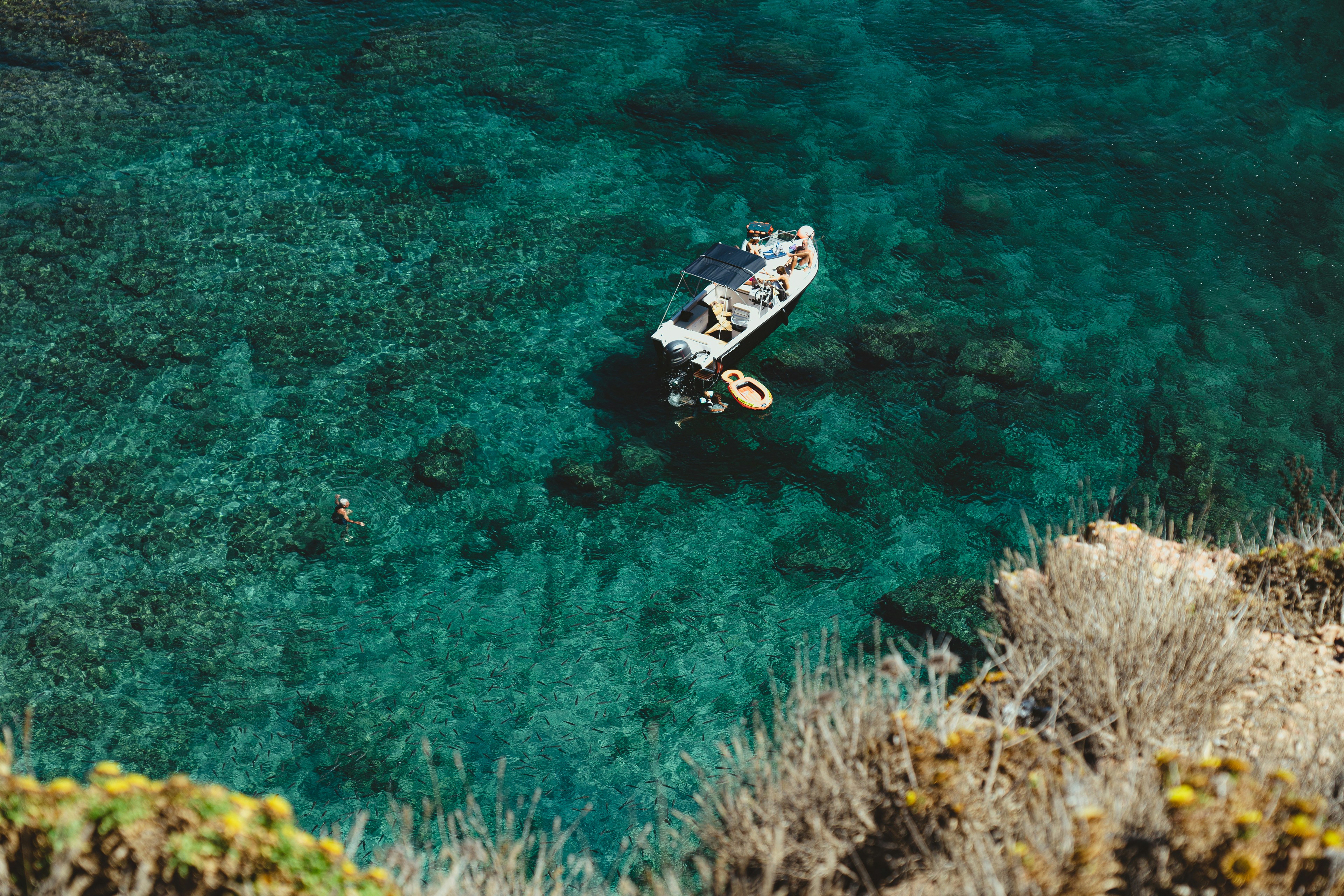 Photo by miguelmendes