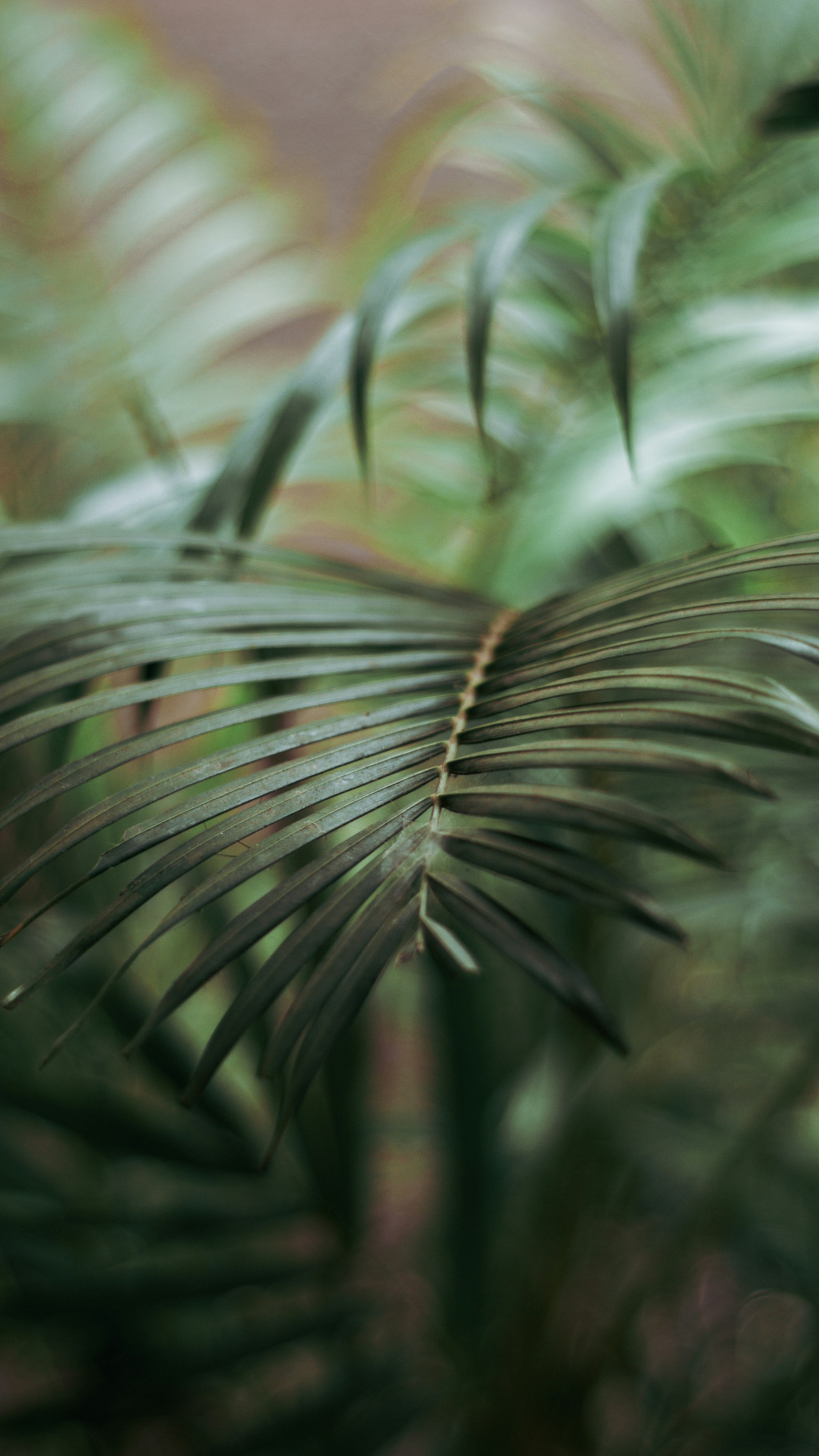 Photo by yadunandlal